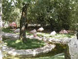 P6070009