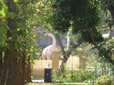 P1000022