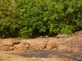 P1000031
