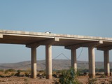 P1000171
