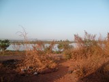 P1000175
