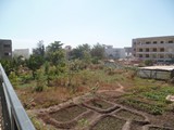 P1000208