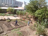 P1000209