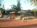 P1000239