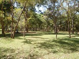 P1000252
