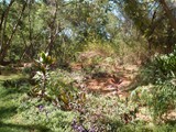 P1000256