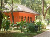 P1000258