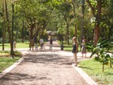 P1000259