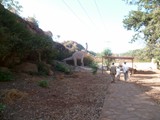 P1000276