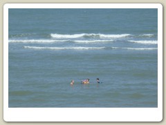 Hua_Hin (95)