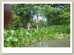 Marché_flotant (8)