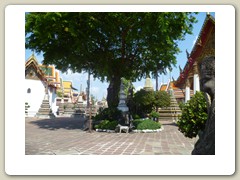 Temple (28)