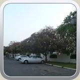 P1010805
