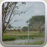 P1010835