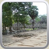 P1000393