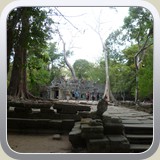 P1000453