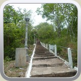 P1000793