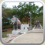 P1000796