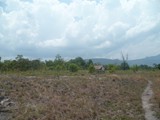 terrain serge1