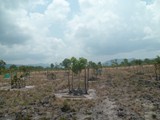 terrain serge2