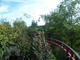 P1000966