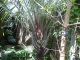 P1010012