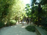 P1010016