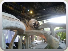 terrabotanica (13)