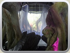terrabotanica (14)