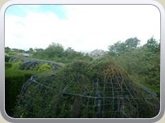 terrabotanica (2)