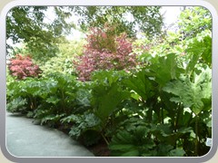 terrabotanica (20)