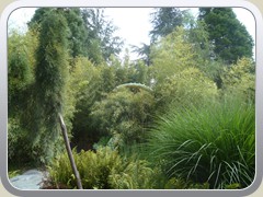 terrabotanica (23)
