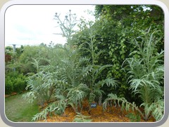 terrabotanica (28)