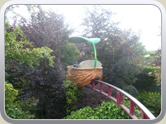 terrabotanica (3)