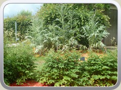 terrabotanica (30)