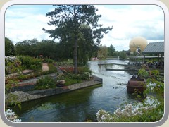 terrabotanica (41)