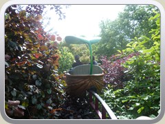 terrabotanica (5)