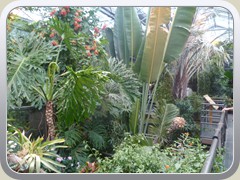 terrabotanica (70)