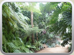 terrabotanica (77)