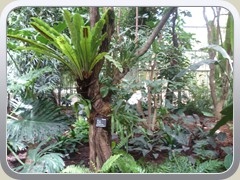 terrabotanica (78)