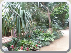 terrabotanica (79)