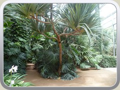 terrabotanica (80)