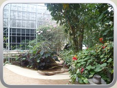 terrabotanica (81)