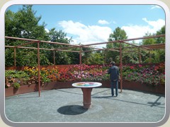 terrabotanica (84)