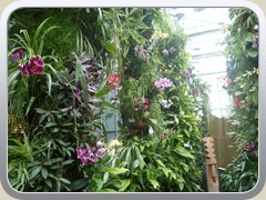 terrabotanica (91)