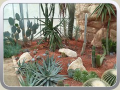 terrabotanica (94)