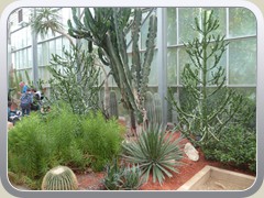 terrabotanica (95)