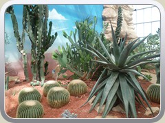 terrabotanica (96)