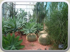 terrabotanica (98)