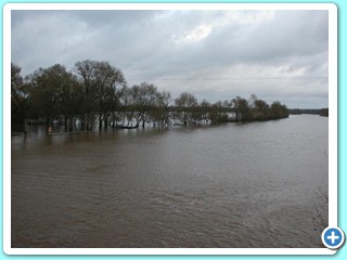 crue 2003 4
